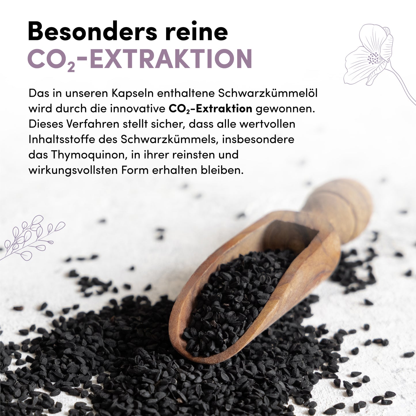 Gélules molles d'huile de cumin noir