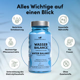 Wasser Balance - natürlicher Entwässerungs-Komplex